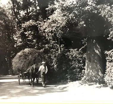 Rowton Castle 1880–1921